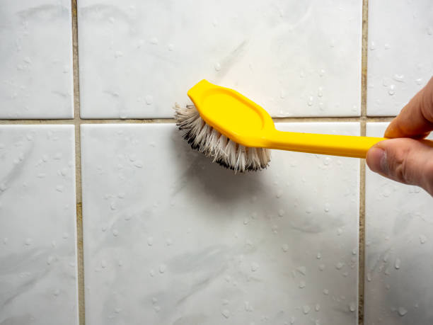 Best Mold Cleaning Services  in Lake Jackson, TX