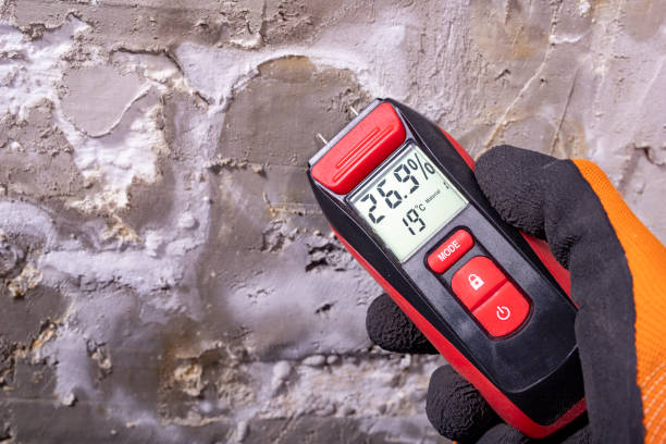 Best Mold Removal and Inspection  in Lake Jackson, TX